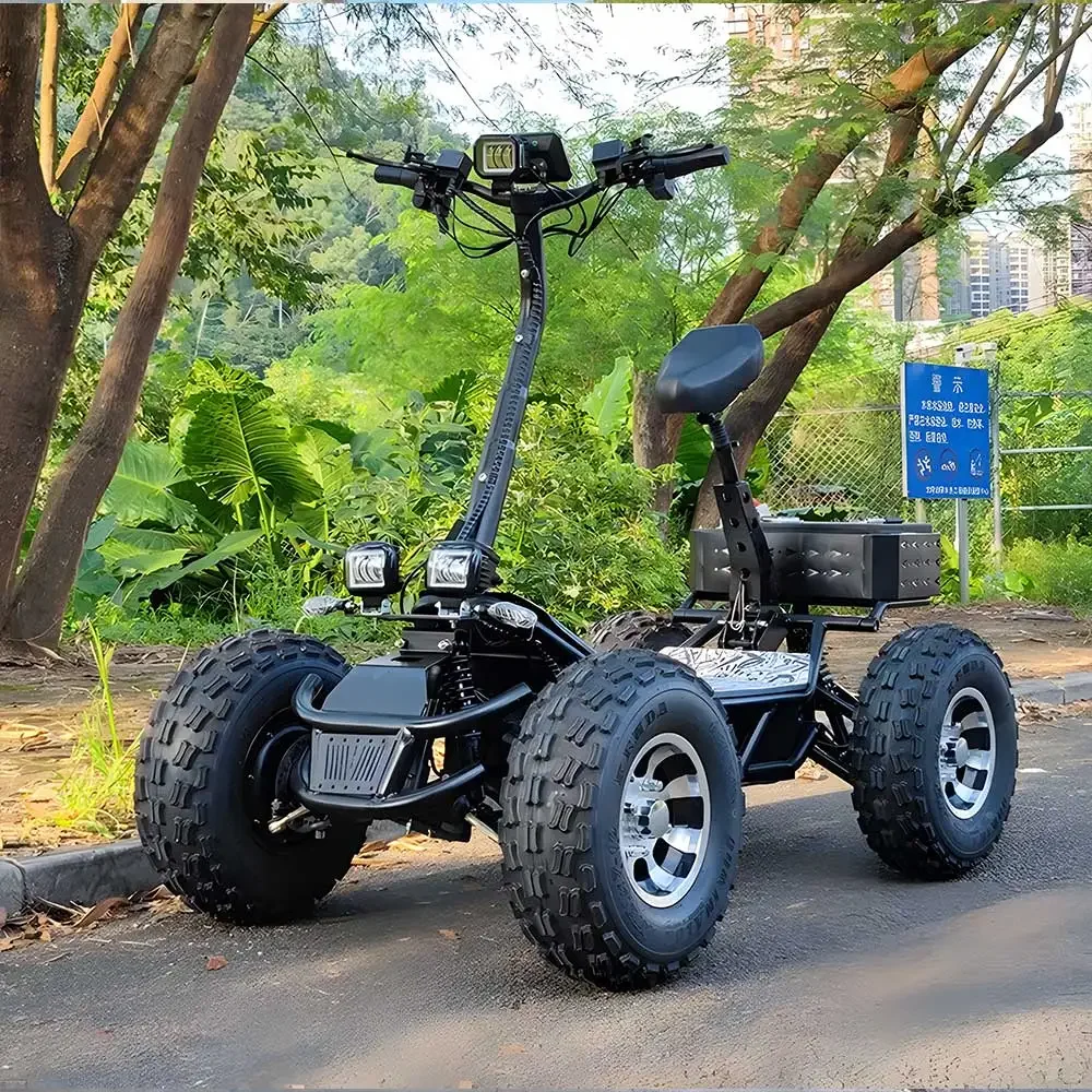 ESWING Hochleistungs-100-Motor – 60V 50Ah Electric Scooter Battery Bewertung und Preis