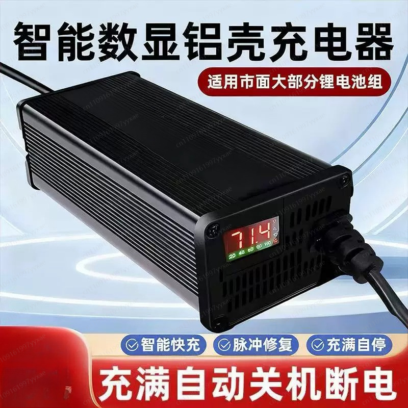 48V 60V 72V Smart LiFePO4 Li-I – 72V 15A Fast Charger Bewertung und Preis